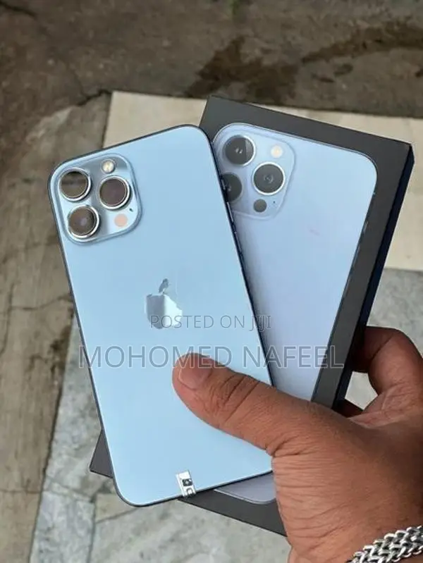 Apple iPhone 13 Pro Max (Used)