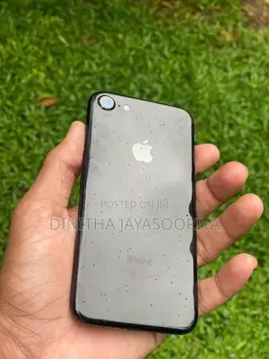 Apple iPhone 7 (Used)