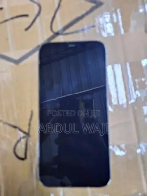 Apple iPhone 12 Pro Max (Used)