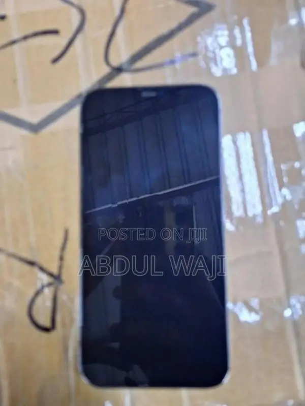 Apple iPhone 12 Pro Max (Used)