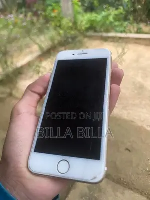 Apple iPhone 7 (Used)