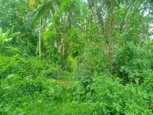 Land For Sale Horana