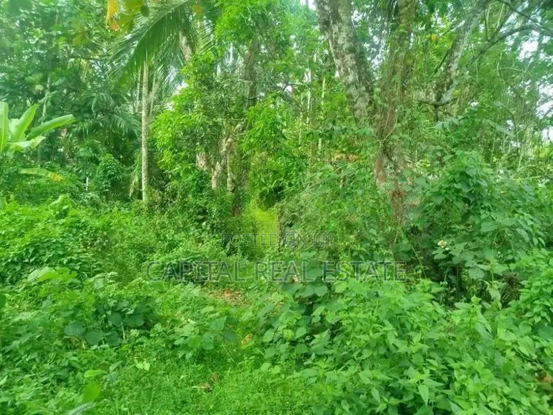 Land For Sale Horana