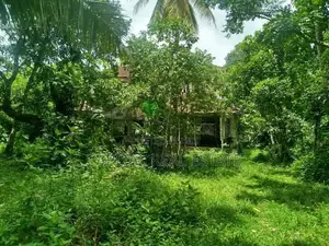 Land For Sale Horana