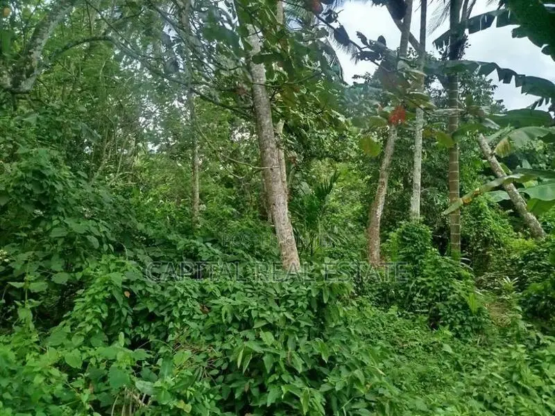 Land For Sale Horana