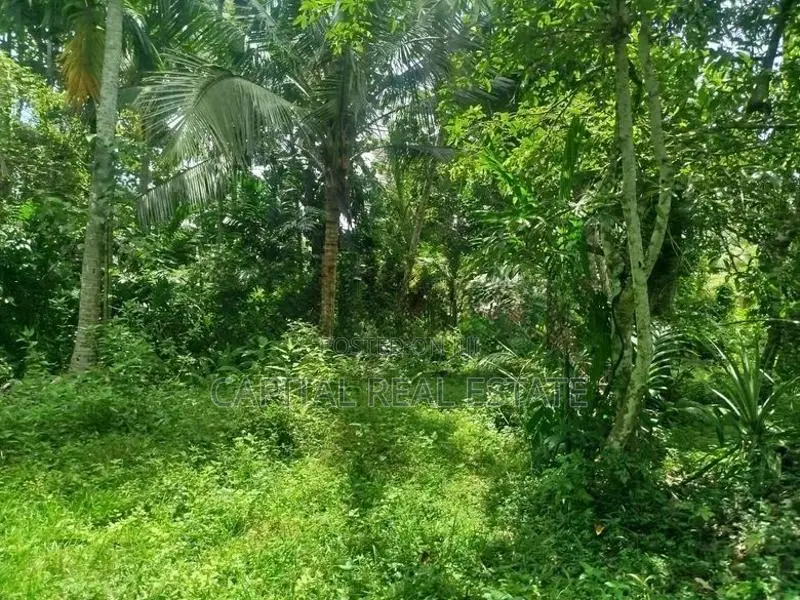 Land For Sale Horana