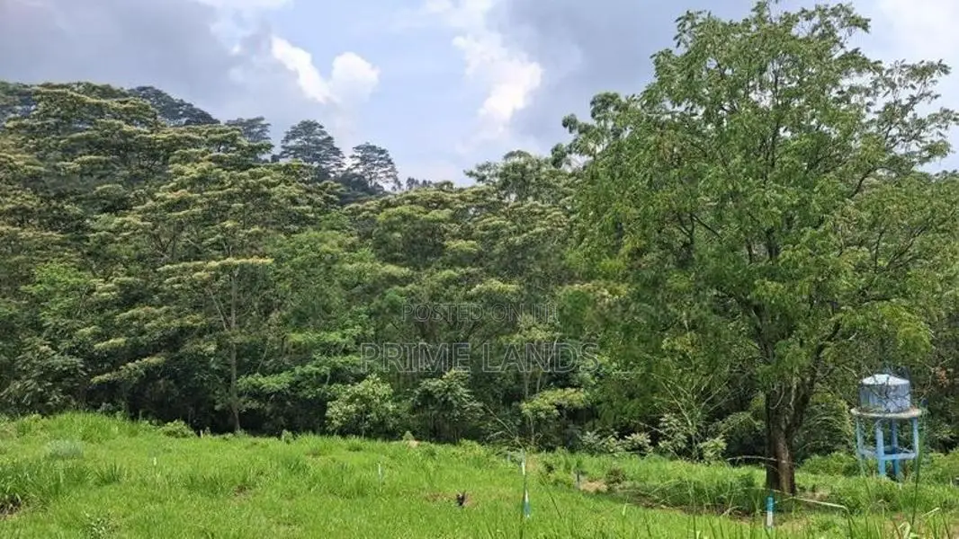 Valuable Land for Sale in Pussellawa Wahurupitiya