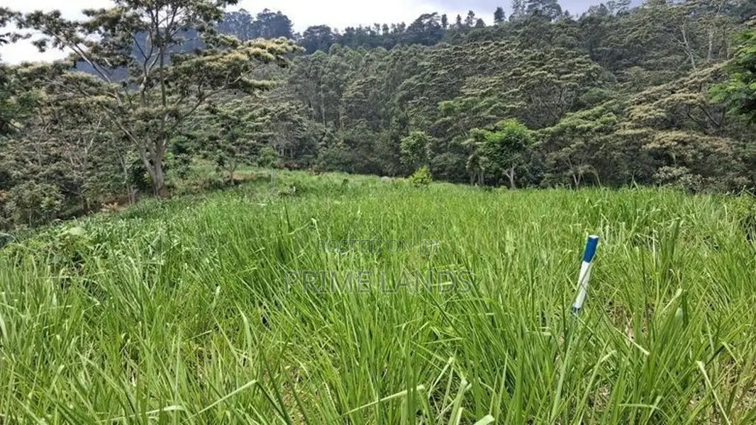 Valuable Land for Sale in Pussellawa Wahurupitiya