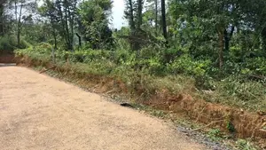 Land For Sale In Nawalapitiya Balantota