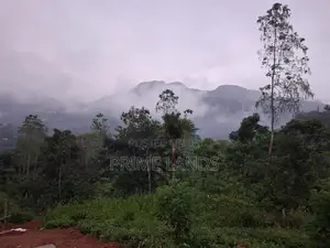 Land For Sale In Nawalapitiya Balantota