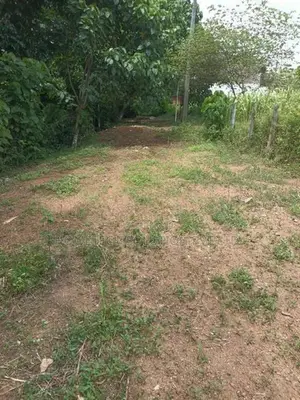 Faddy Field Facing Land In Athurugiriya
