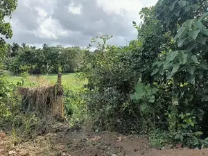 Faddy Field Facing Land In Athurugiriya