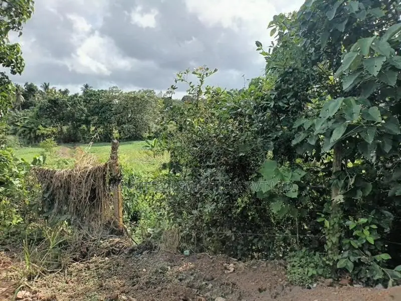 Faddy Field Facing Land In Athurugiriya