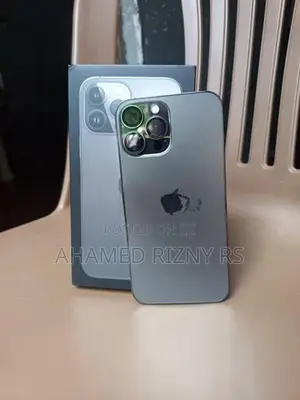 Apple iPhone 13 Pro Max (Used)
