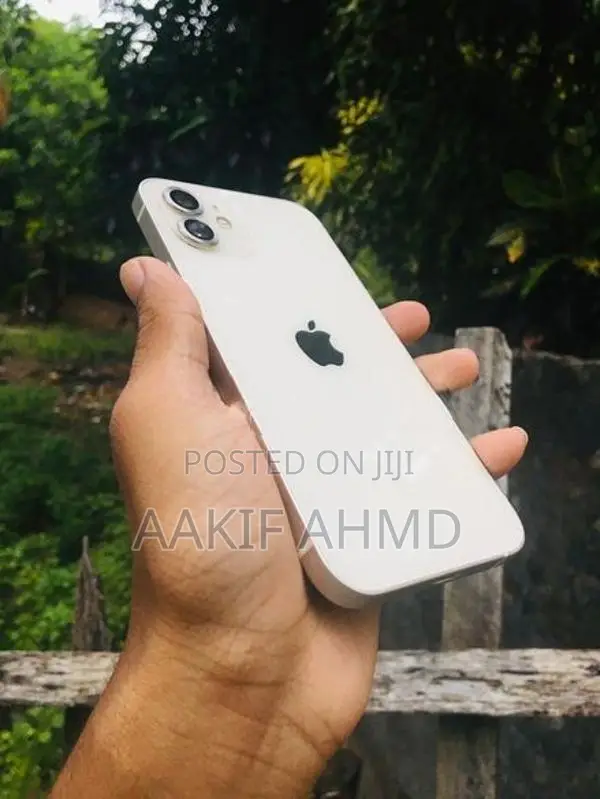 Apple iPhone 12 (Used)