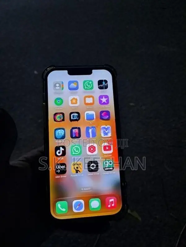 Apple iPhone 13 Pro Max (Used)