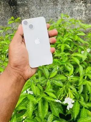 Apple iPhone 13 Mini (Used)