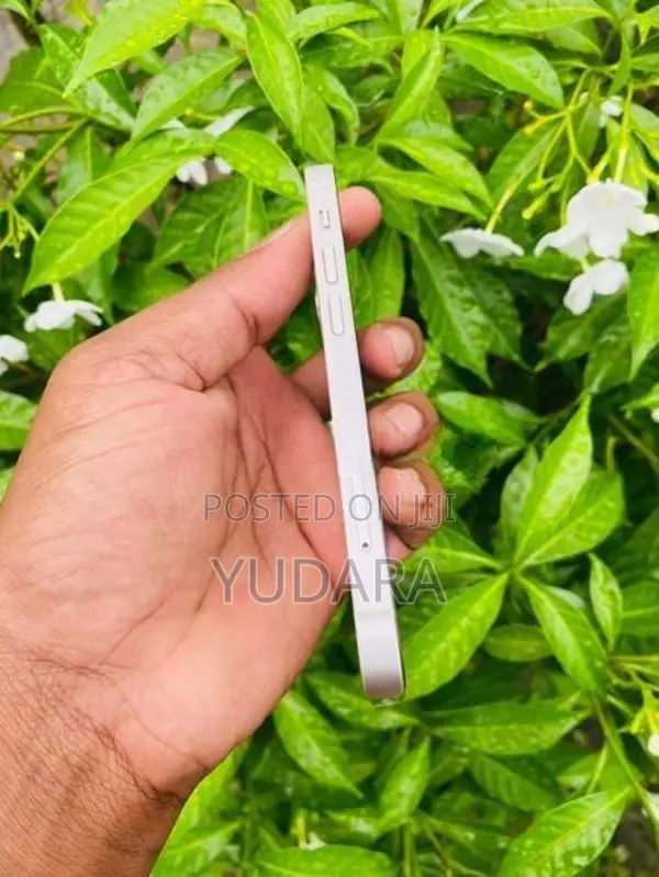 Apple iPhone 13 Mini (Used)