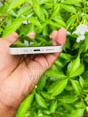 Apple iPhone 13 Mini (Used)