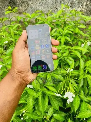 Apple iPhone 13 Mini (Used)