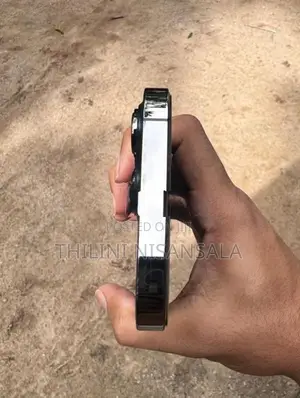 Apple iPhone 13 Pro (Used)