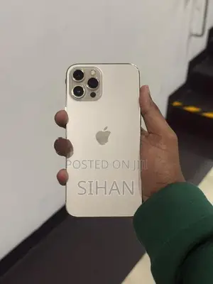 Apple iPhone 12 Pro Max (Used)