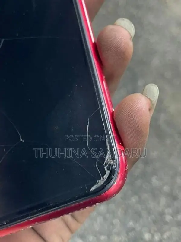 Apple iPhone 11 (Used)