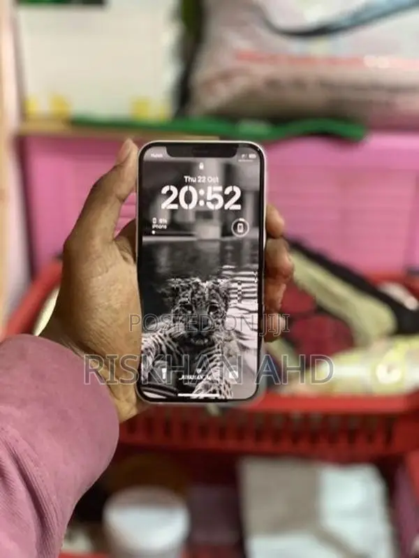 Apple iPhone 12 mini (Used)