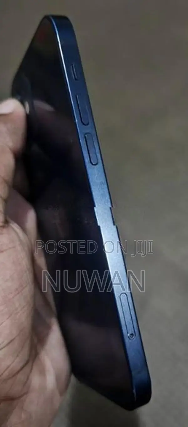 Apple iPhone 12 (Used)