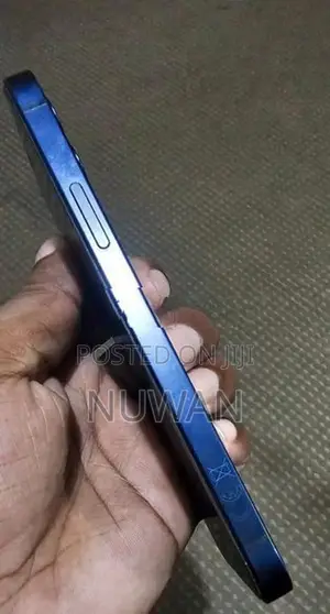 Apple iPhone 12 (Used)