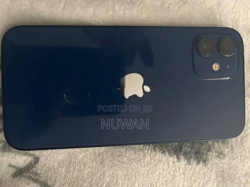 Apple iPhone 12 (Used)