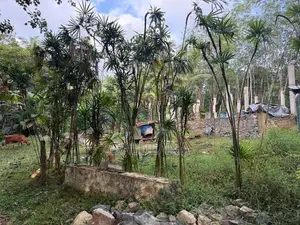 Valuable Land for Sale in Horana