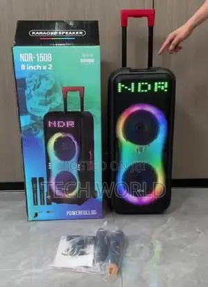 Party Box - Dual wireless Mic 8" inch Speakers