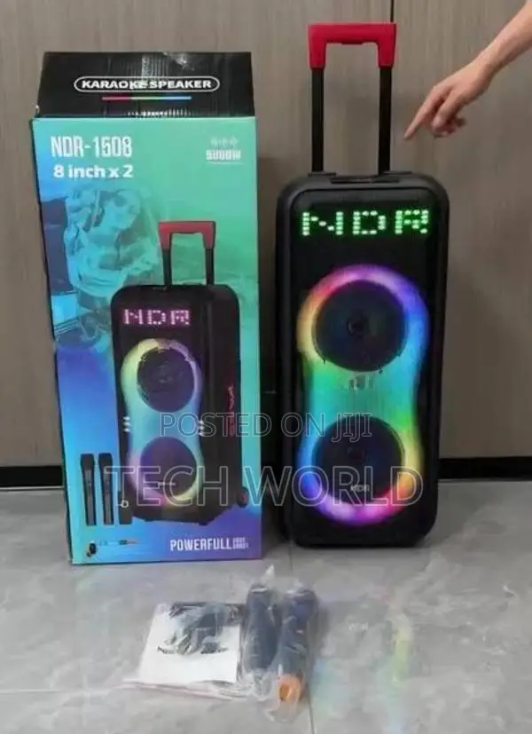 Party Box - Dual wireless Mic 8" inch Speakers