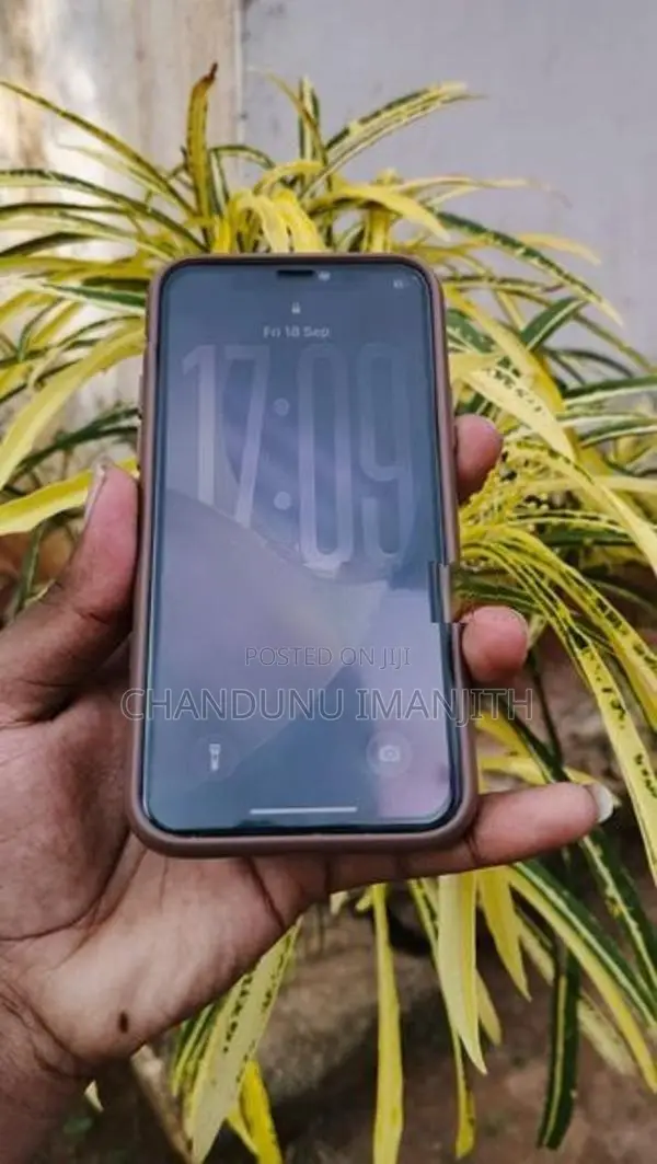 Apple iPhone 11 Pro (Used)