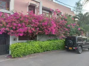 House For Rent IN Colombo 05 ( File Number 20B/4 )