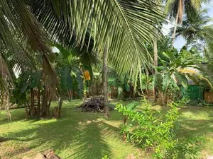 (AL357) 31 Perch Land with House for Sale in Pitipana