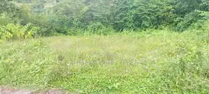 Bandaragama Land for Sale
