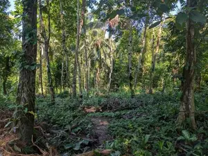 Land For Sale IN Aladeniya Katugastota
