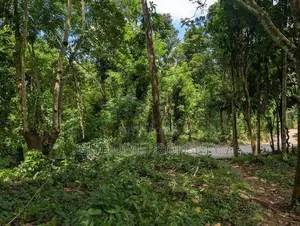 Land For Sale IN Aladeniya Katugastota