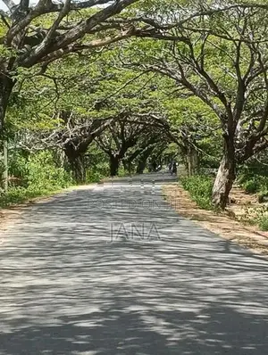 3 ஏக்கர் காணி விற்பனைக்கு அக்கராயன்