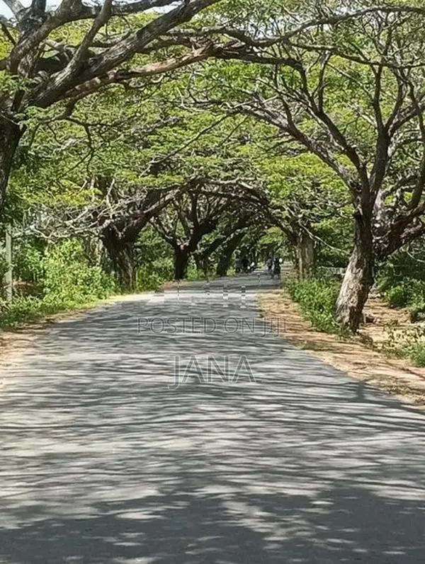 3 ஏக்கர் காணி விற்பனைக்கு அக்கராயன்
