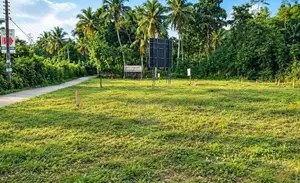 හොරණ නගරය සමීයෙන් 12.5P ඉඩමක් විකිණීමට In Horana