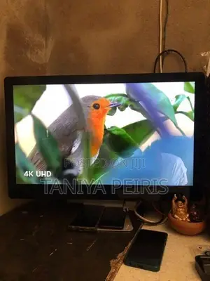 Dream View Hd LED TV 24
