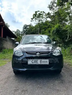 Suzuki Alto 2015 Car (Used)