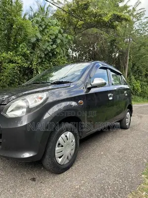 Suzuki Alto 2015 Car (Used)