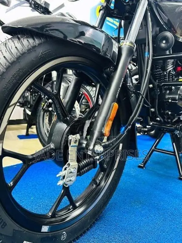 Bajaj Platina 100 Brand New 2026