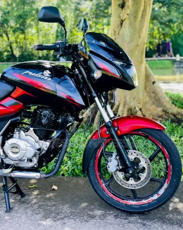 Bajaj Pulsar 1506 2016 Motorbike (Used)