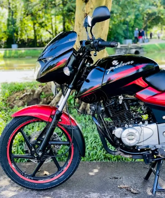 Bajaj Pulsar 1506 2016 Motorbike (Used)