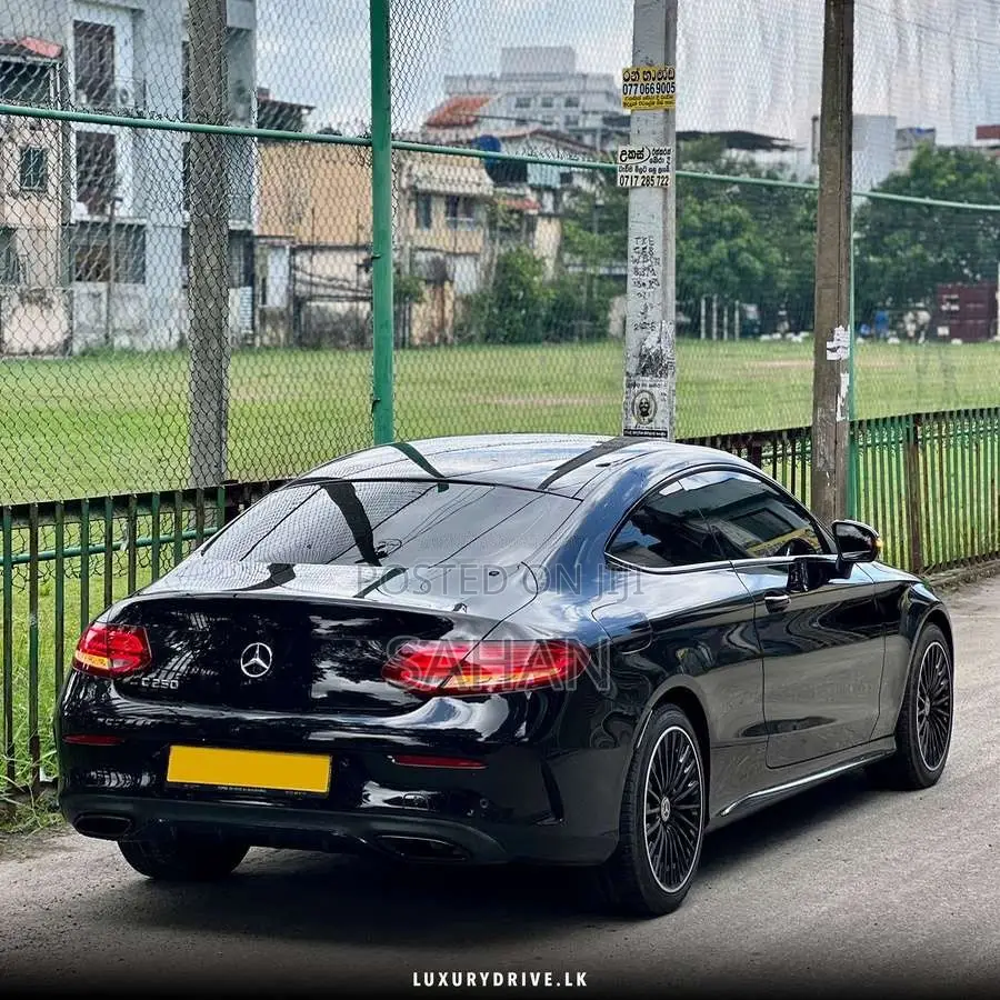 Mercedes-Benz C250 2016 Car (Used)